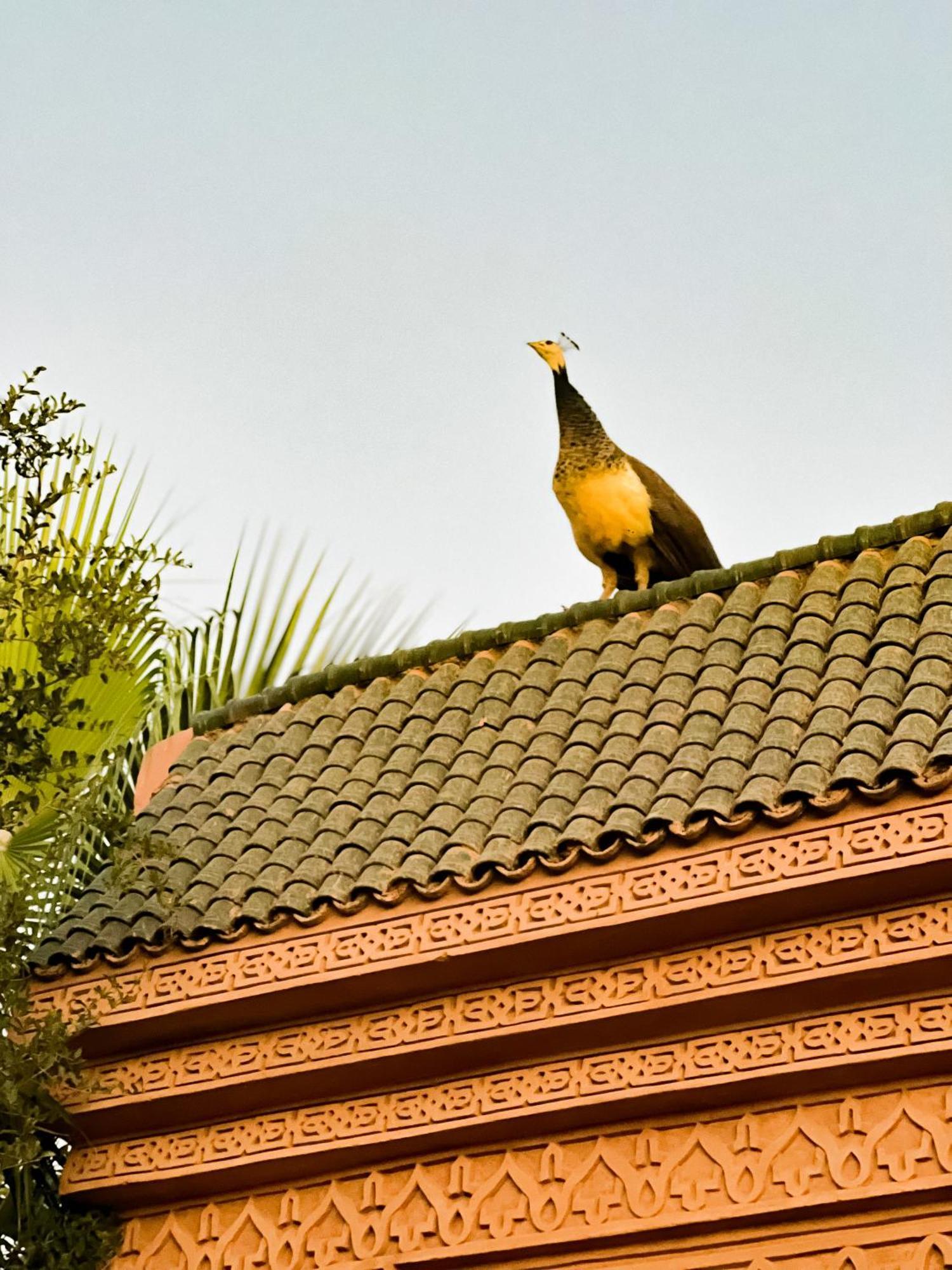 Guest House Qodwa Sidi Abdallah Ghiat Exterior foto